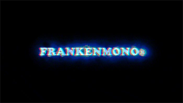 프랑켄모노 FRANKENMONO